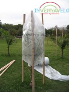invernavelo protección de frutales
